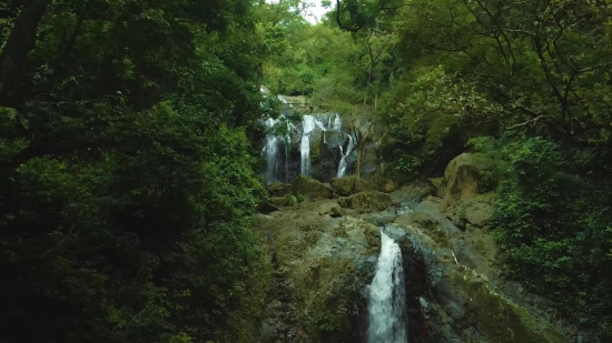 River, Tree, Landscape, Forest, Rock, Water