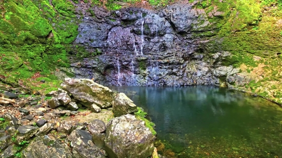 River, Water, Landscape, Stone, Stone Wall, Forest