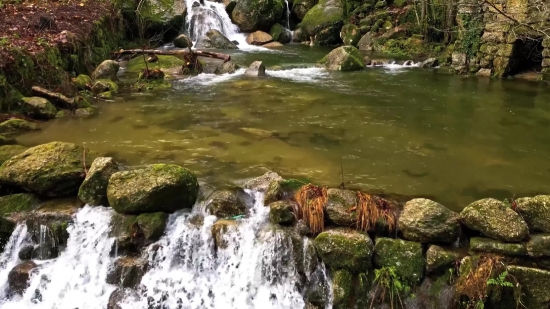 River, Water, Stream, Channel, Forest, Body Of Water