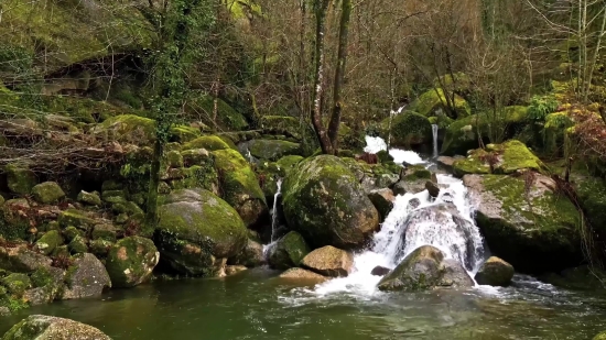 River, Water, Stream, Forest, Waterfall, Landscape