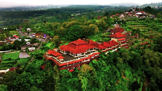 Roof, Landscape, Travel, Tree, Town, Stretcher