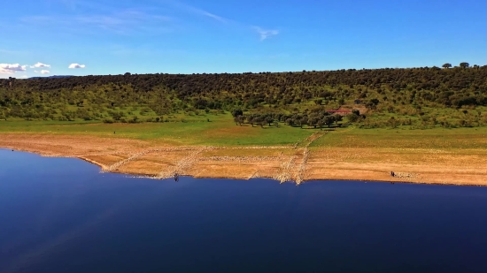 Rose Flower Video Download, Sky, Landscape, Grass, Field, Rural