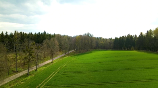 Rough, Course, Grass, Golf, Landscape, Field