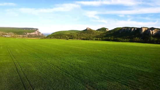 Rough, Grass, Landscape, Field, Meadow, Sky