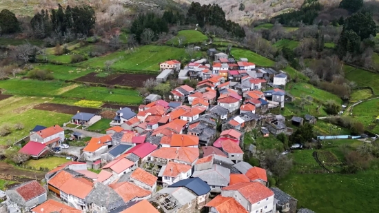 Royalty Free Butterfly Video, Tile Roof, Roof, Protective Covering, Covering, Town