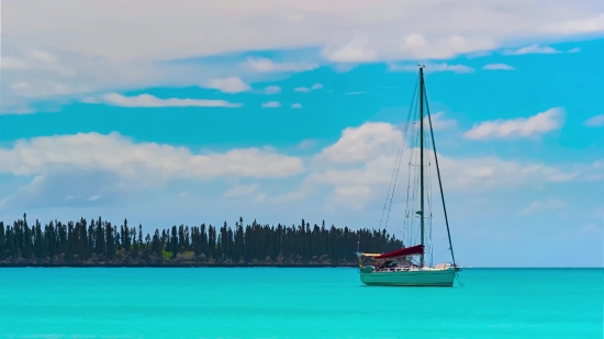 Sailboat, Catamaran, Vessel, Boat, Sea, Ship