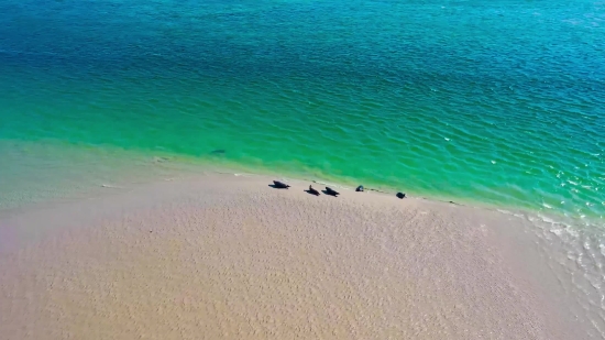 Sand, Beach, Ocean, Sea, Sandbar, Soil