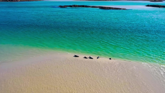 Sand, Beach, Sandbar, Bar, Ocean, Sea