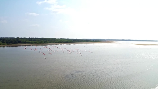 Sandbar, Bar, Barrier, Ridge, Sand, Beach