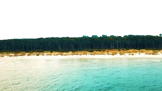 Sandbar, Bar, Barrier, Ridge, Water, Natural Elevation