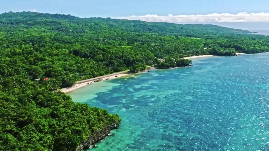 Sandbar, Beach, Sea, Coast, Island, Ocean