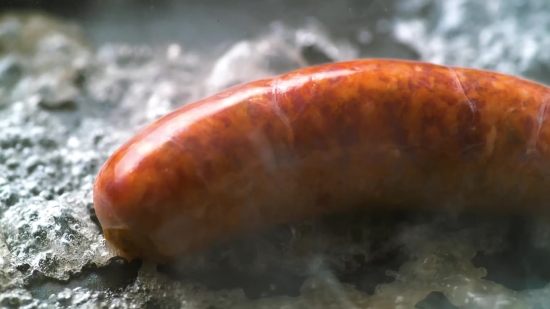 Sea Cucumber, Echinoderm, Invertebrate, Animal, Food, Meat