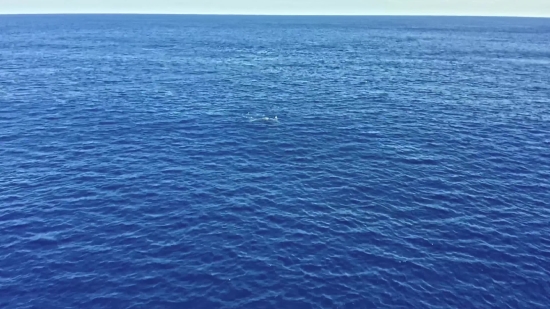 Sea, Ocean, Body Of Water, Water, Sky, Landscape