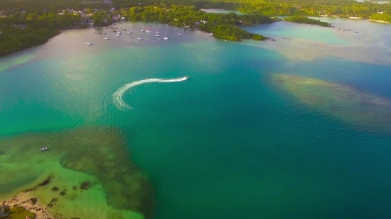 Sea Snake, Snake, Sea, Beach, Ocean, Water