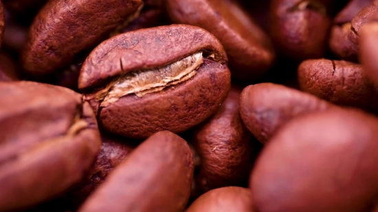 Seed, Edible Nut, Nut, Coffee, Bean, Brown