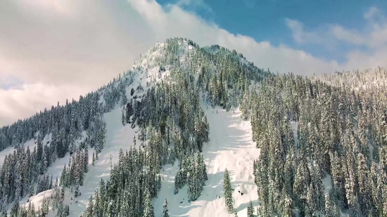 Ski Slope, Slope, Snow, Tree, Geological Formation, Mountain