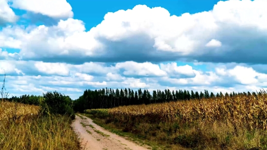 Sky, Atmosphere, Landscape, Rural, Field, Grass