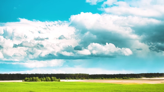 Sky, Field, Wheat, Meadow, Rural, Grass