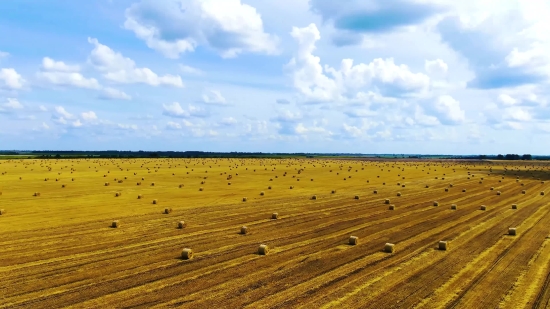 Sky, Landscape, Field, Rural, Summer, Horizon