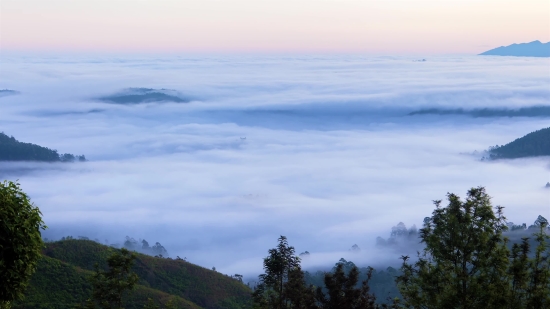 Sky, Landscape, Mountain, Tree, Mountains, Forest