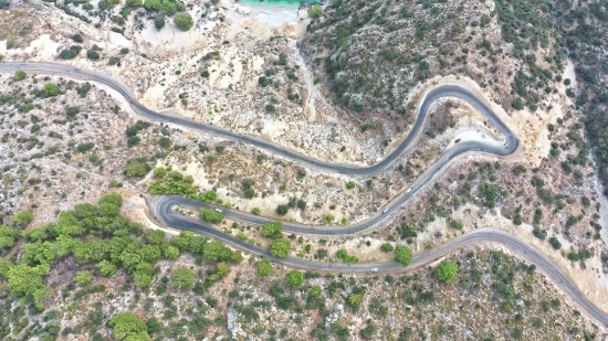 Snake, Sea Snake, Reptile, Garter Snake, Landscape, Road