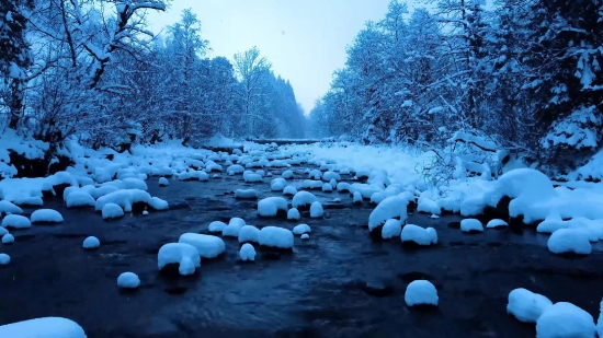 Snow, Ice, Landscape, River, Weather, Forest