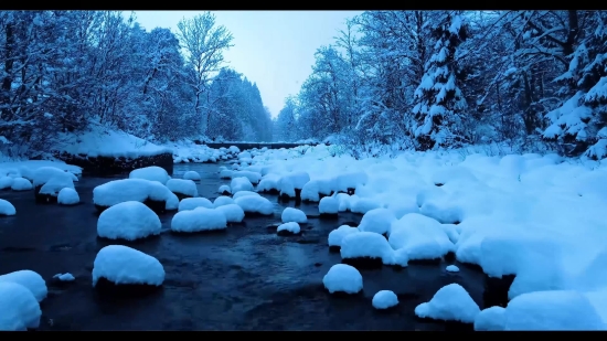 Snow, Ice, Landscape, Winter, Forest, Tree