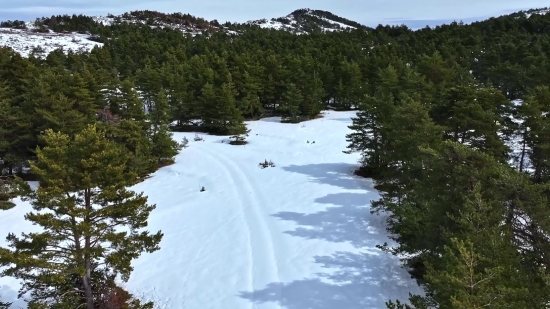 Snow, Mountain, Mountains, Landscape, Ice, Forest