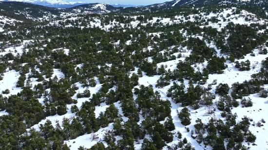 Snow, Tree, Winter, Landscape, Mountain, Weather