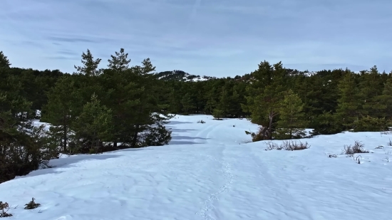 Snow, Winter, Slope, Cold, Landscape, Ice