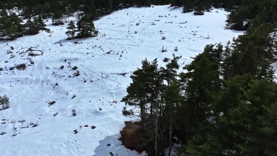 Snow, Winter, Tree, Landscape, Ice, Cold