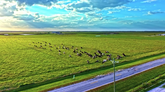 Steppe, Plain, Land, Landscape, Field, Grass