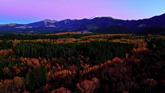 Sumac, Shrub, Landscape, Woody Plant, Vascular Plant, Mountain