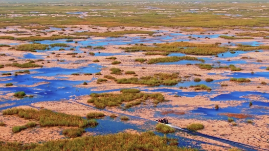 Swamp, Water, Land, Wetland, River, Landscape