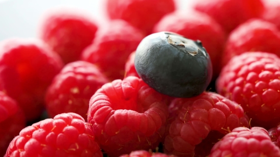 Technology Stock Video Footage, Berry, Fruit, Edible Fruit, Blueberry, Raspberry