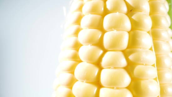 Thinking Video Clip Free Download, Corn, Kernel, Fruit, Grain, Yellow