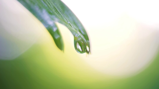 Thunder Background Video Download, Dew, Light, Design, Color, Motion