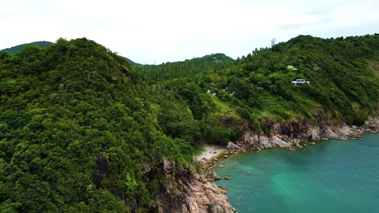 Tree, Forest, Landscape, Channel, Mountain, Water