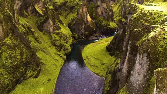 Tree, Forest, Landscape, Park, River, Woody Plant