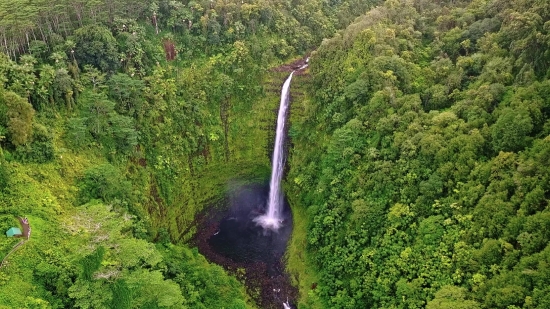 Tree, Forest, Landscape, Waterfall, Park, River