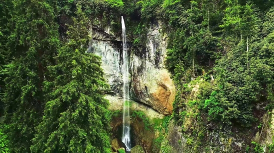 Tree, Forest, Waterfall, River, Landscape, Stream