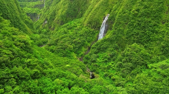 Tree, Landscape, Forest, Mountain, Wilderness, River