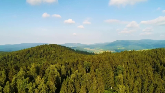 Tree, Landscape, Mountain, Forest, Range, Autumn