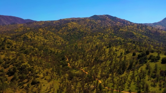 Tree, Landscape, Mountain, Mountains, Woody Plant, Wilderness