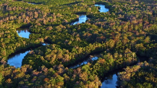 Tree, Landscape, River, Forest, Water, Lake