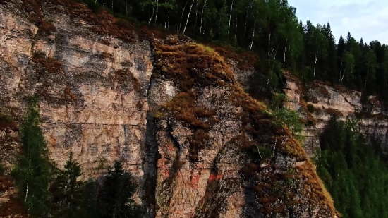 Tree, Landscape, Rock, Park, Stone, Forest