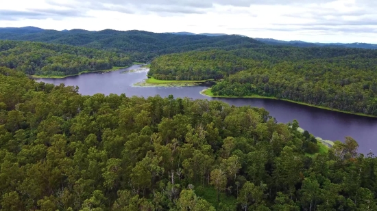 Tree, Landscape, Water, Lake, Forest, River