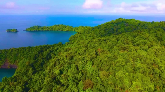 Tree, Landscape, Water, River, Forest, Lake