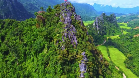 Tree, Mountain, Landscape, Forest, Park, Woody Plant