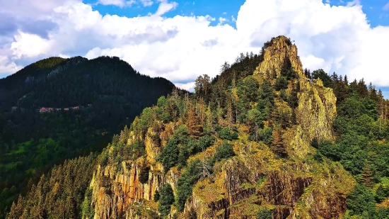 Tree, Mountain, Landscape, Range, Forest, Woody Plant